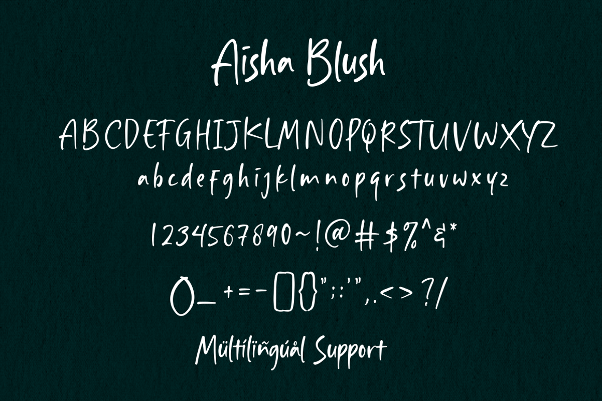 Aisha Blush - Handwritten Font, a Script Font by Sronstudio (Photo 10 of 11)
