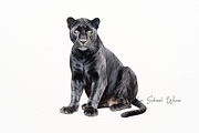 Elegant Black Panther Watercolor Set, an Illustration by New-School-Wave (Thumbnail 4 of 5)