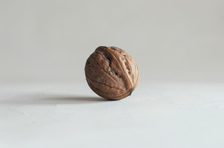 A single walnut rests on a plain whi, a Photo by Iftikhar Alam