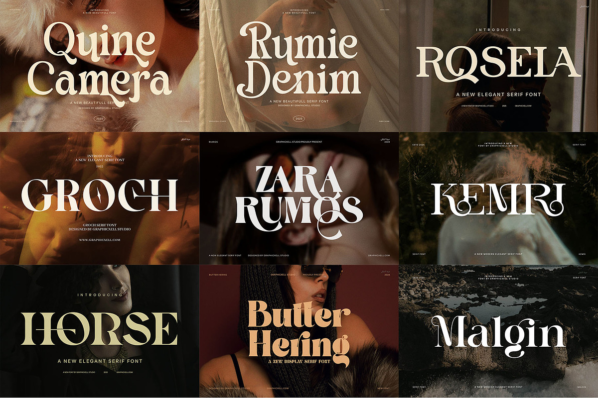 100+ Premium Serif Font Bundle, a Serif Font by Graphicxell (Photo 5 of 12)