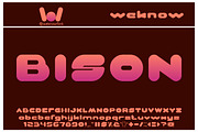 evergreen font, a Font by weknow (Thumbnail 2 of 5)