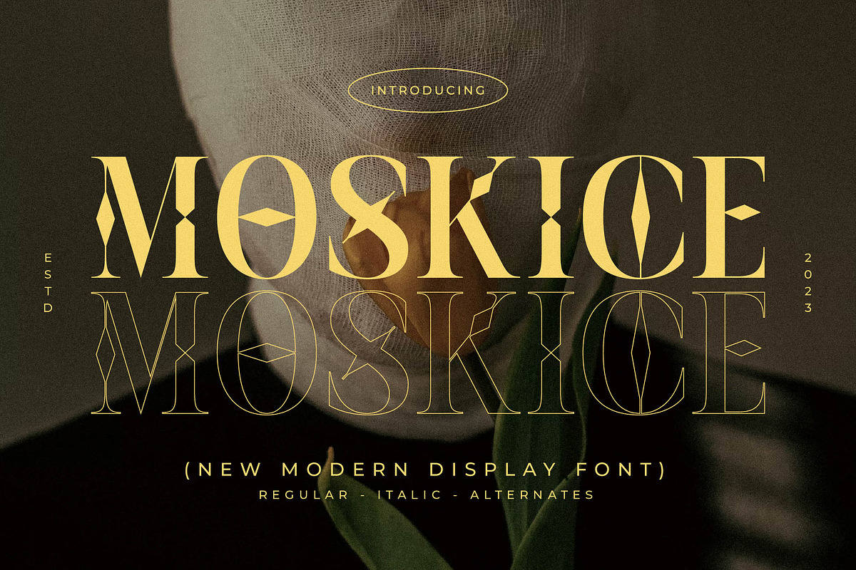 Moskice New Modern Display Font, a Serif Font by Storytype Studio (Photo 1 of 15)