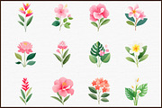 Tropical Floral Watercolor Clipart S, an Illustration by Sublimation Artist (Thumbnail 3 of 6)