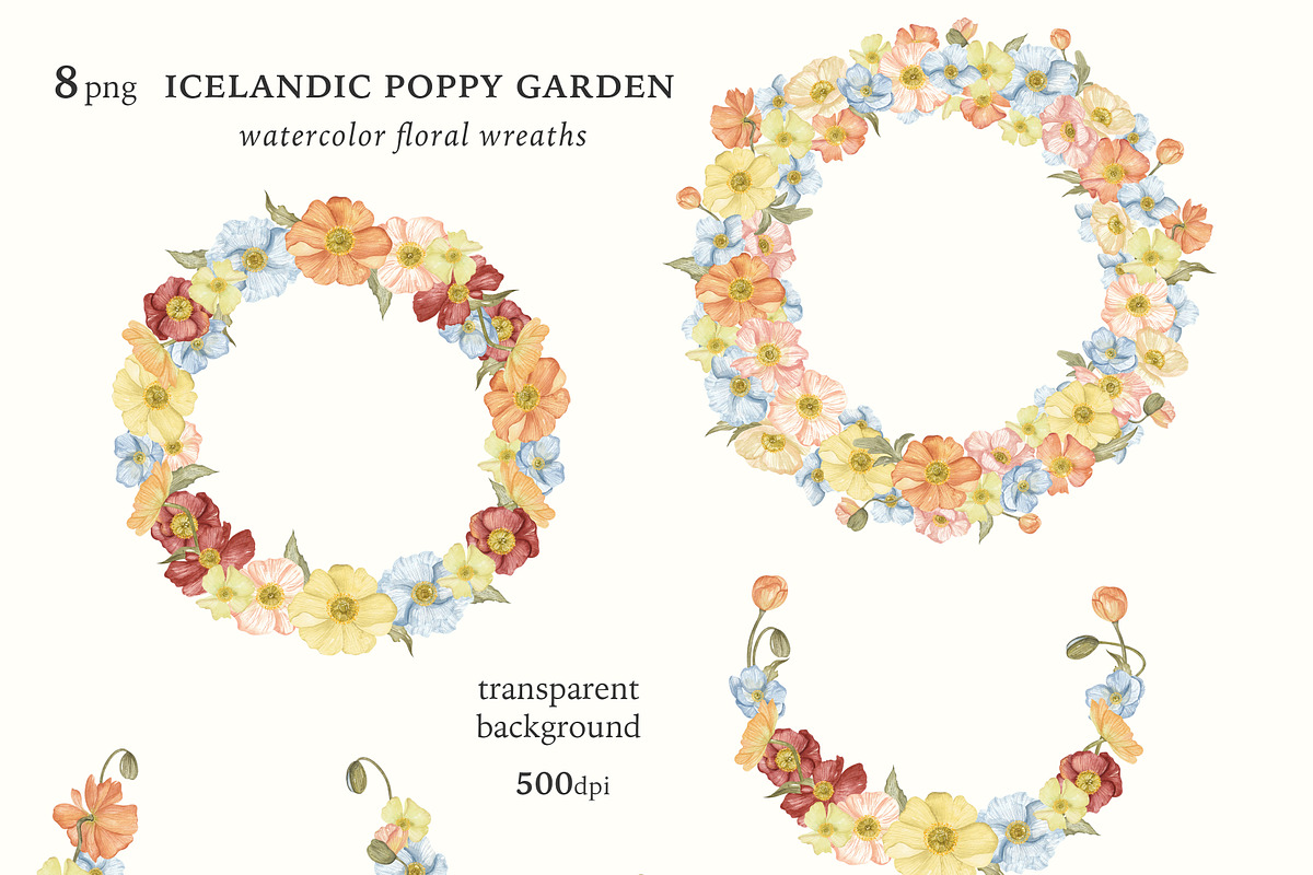 Watercolor Poppy. Bright Wildflower, a Decorative Illustration by Ooh Lily (Photo 6 of 15)