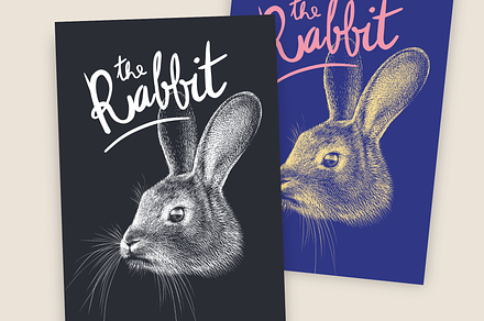 The Rabbit’s Head