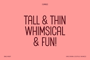 Flamingo Display Font, a Sans Serif Font by bryrude (Thumbnail 2 of 4)