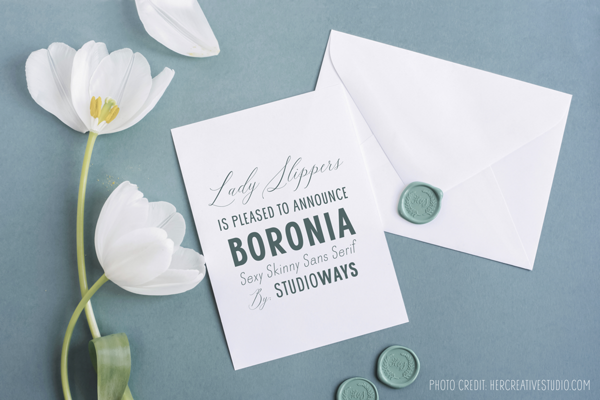 Boronia, a Sans Serif Font by STUDIOWAYS (Photo 2 of 7)