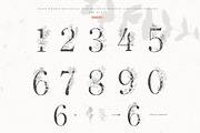 Botanical Alphabet & Monograms., a Decorative Illustration by Designwork (Thumbnail 4 of 18)