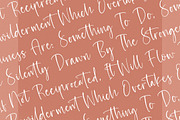 Paradise Daybreak Handwritten Script, a Script Font by stylishtype.co (Thumbnail 8 of 20)