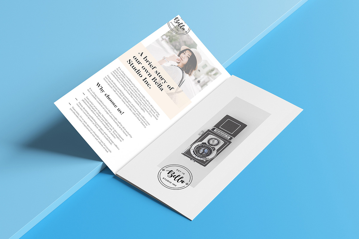 Agency Profile Trifold Brochure, a Brochure Template by GraphicsEgg (Photo 5 of 5)