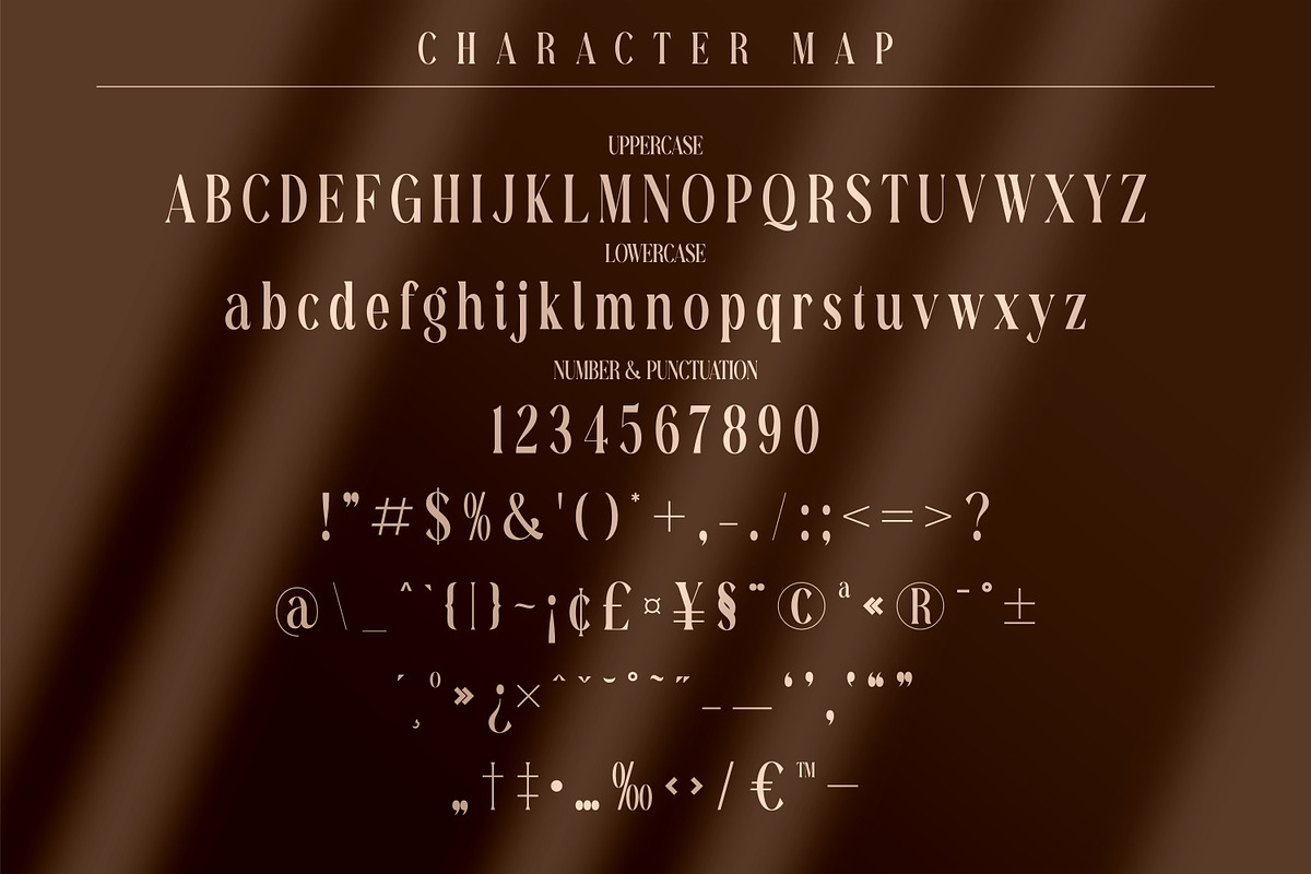 Richardo Flacky Premium Font, a Serif Font by Storytype Studio (Photo 7 of 9)