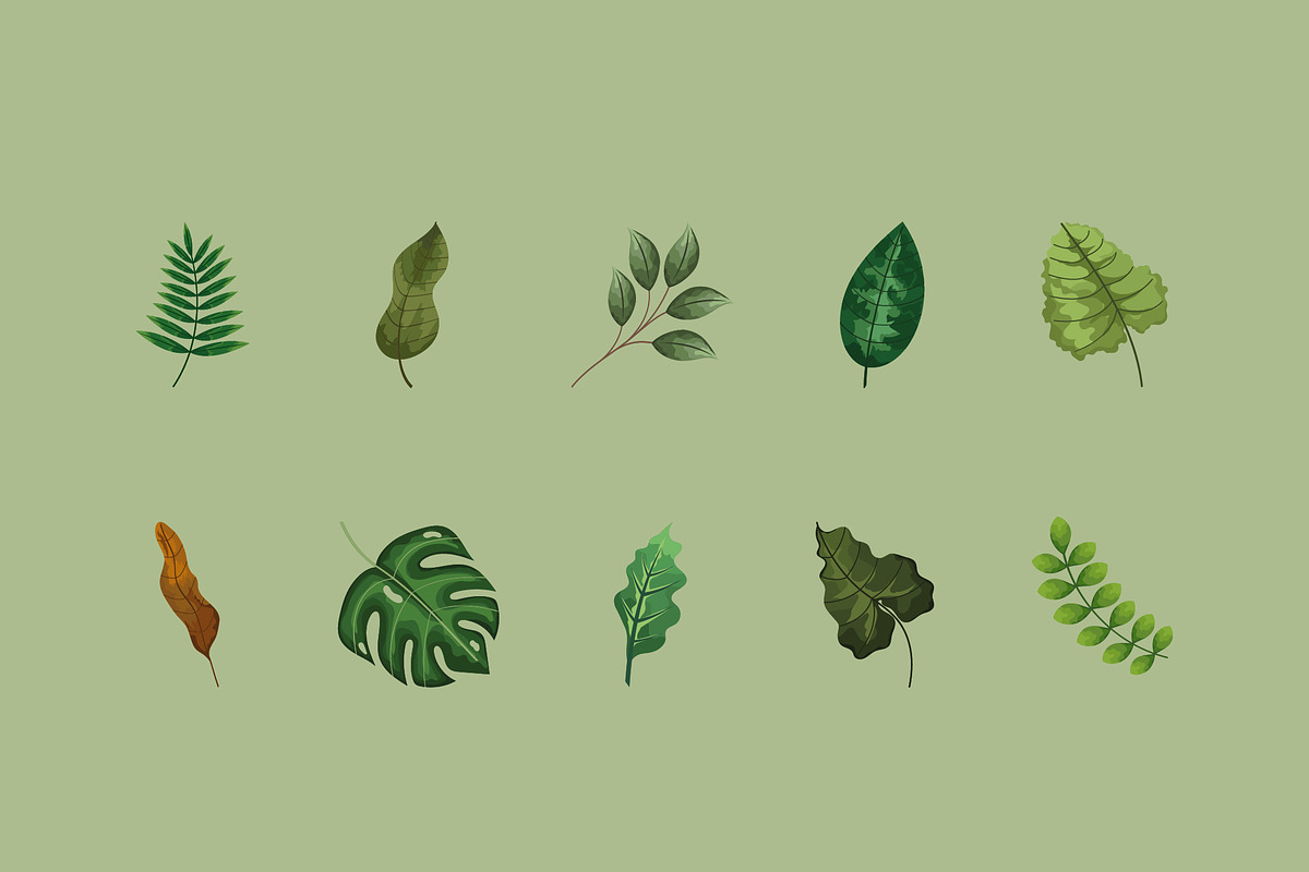 Tropical & Botanical Leaves Set