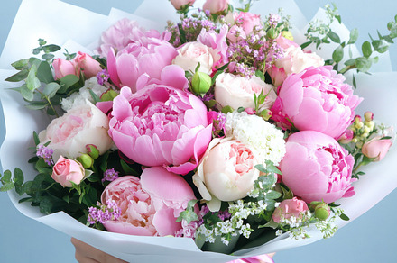 Pink peony bouquet in bloom, a Photo by Beautiful things