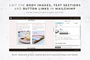 Canva & Mailchimp Template | Blush, an Email Template by Thirty One Palms Studio (Thumbnail 5 of 7)