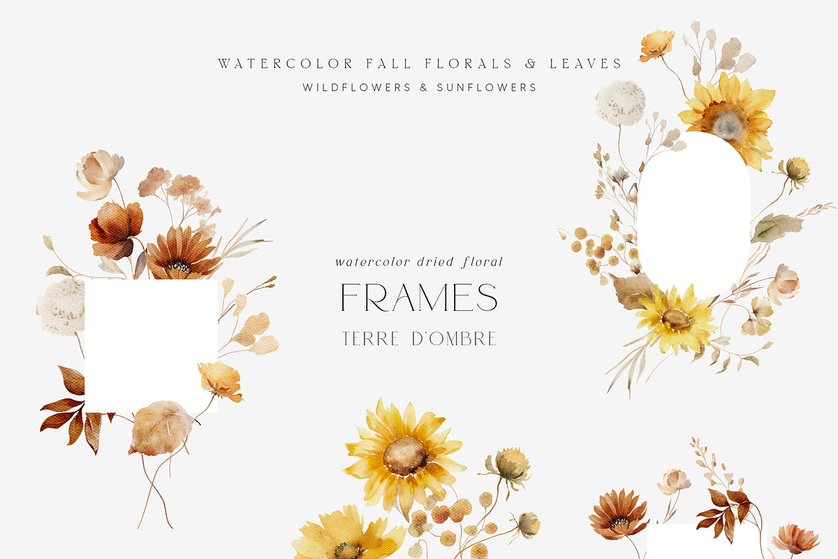 TERRE D'OMBRE Autumn Wildflowers, a Decorative Illustration by Muse Artist (Photo 9 of 13)