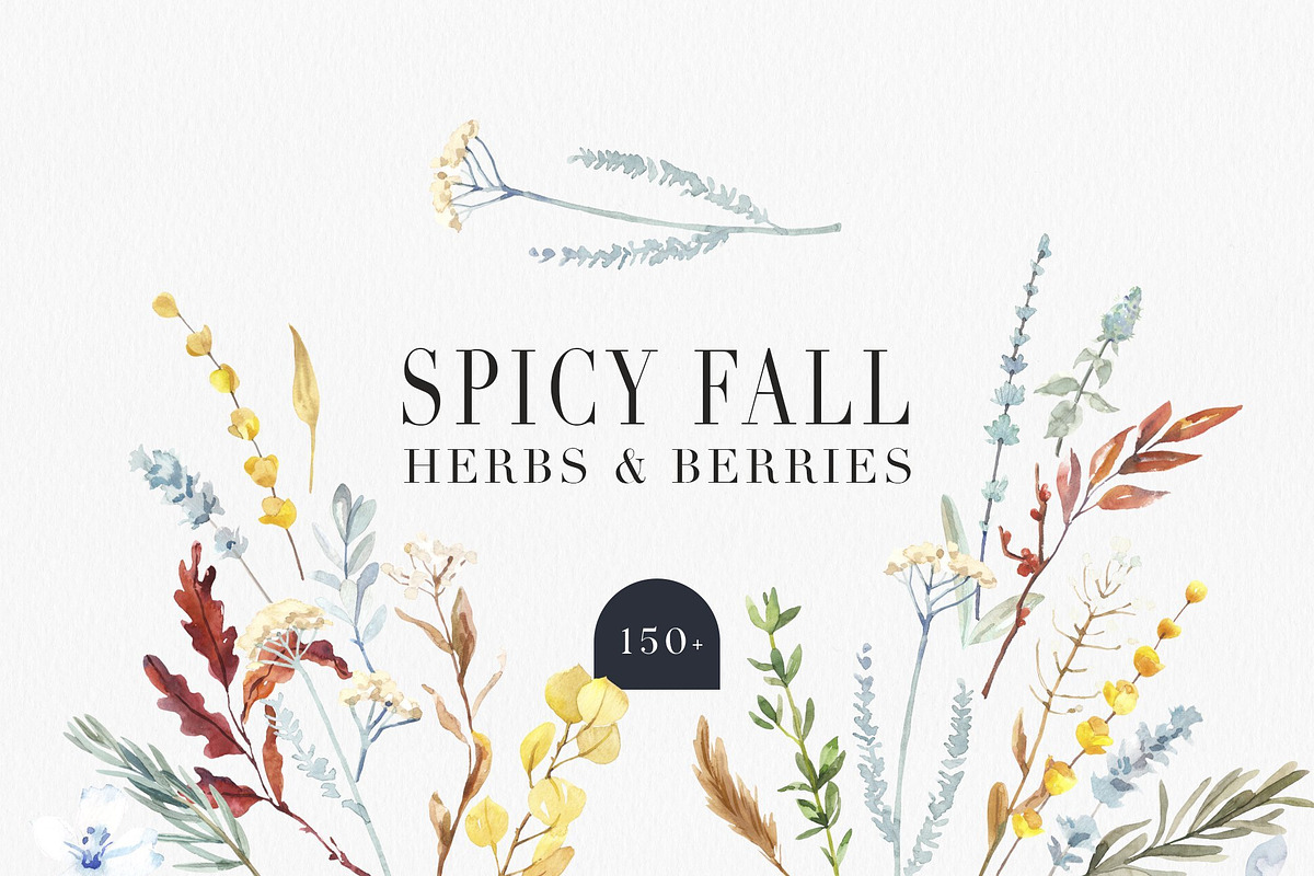 Botanical BUNDLE 10 in 1, a Decorative Illustration by Volha Studio (Photo 8 of 11)