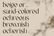 FRENCH CHATEAUX - Chic Display Font, a Sans Serif Font by SilverStag Type Foundry (Thumbnail 21 of 22)