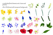 The Cottage Garden in Early Spring, an Illustration by Juliet Chase (Thumbnail 10 of 11)