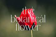 Chaltera | Modern Ligature Serif, a Serif Font by Typoraith Co (Thumbnail 8 of 11)