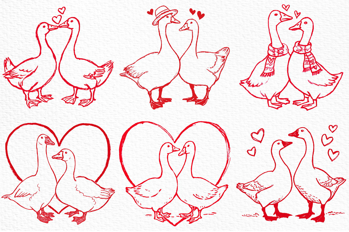 Valentines Goose Couple Hand-Drawn, an Illustration by Craft Nest (Photo 3 of 8)