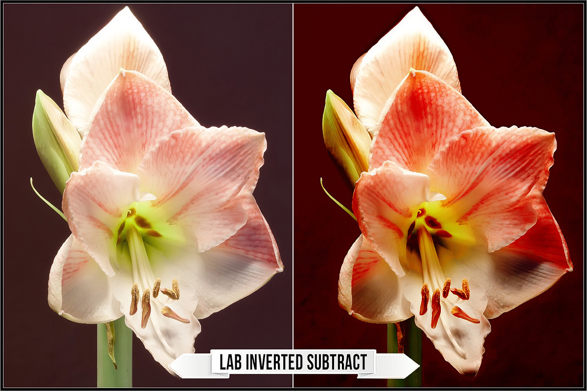 LAB Color Vol. 1 - Inverted Blend, a Plug-in Add-On by Raztrend (Photo 9 of 30)