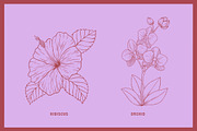 Vintage Tropical Flora Illustrations, an Object Illustration by Jaclyn Caris (Thumbnail 5 of 15)