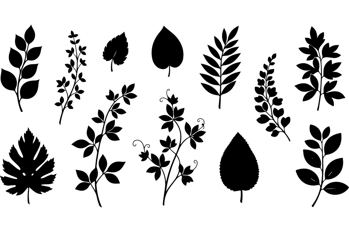 Botanical Leaf Silhouette, an Object Graphic by Creativeshirt (Photo 12 of 19)