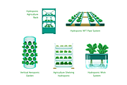 Hydroponic Farming Systems, an Object Graphic by Deemak Daksina (Thumbnail 3 of 3)