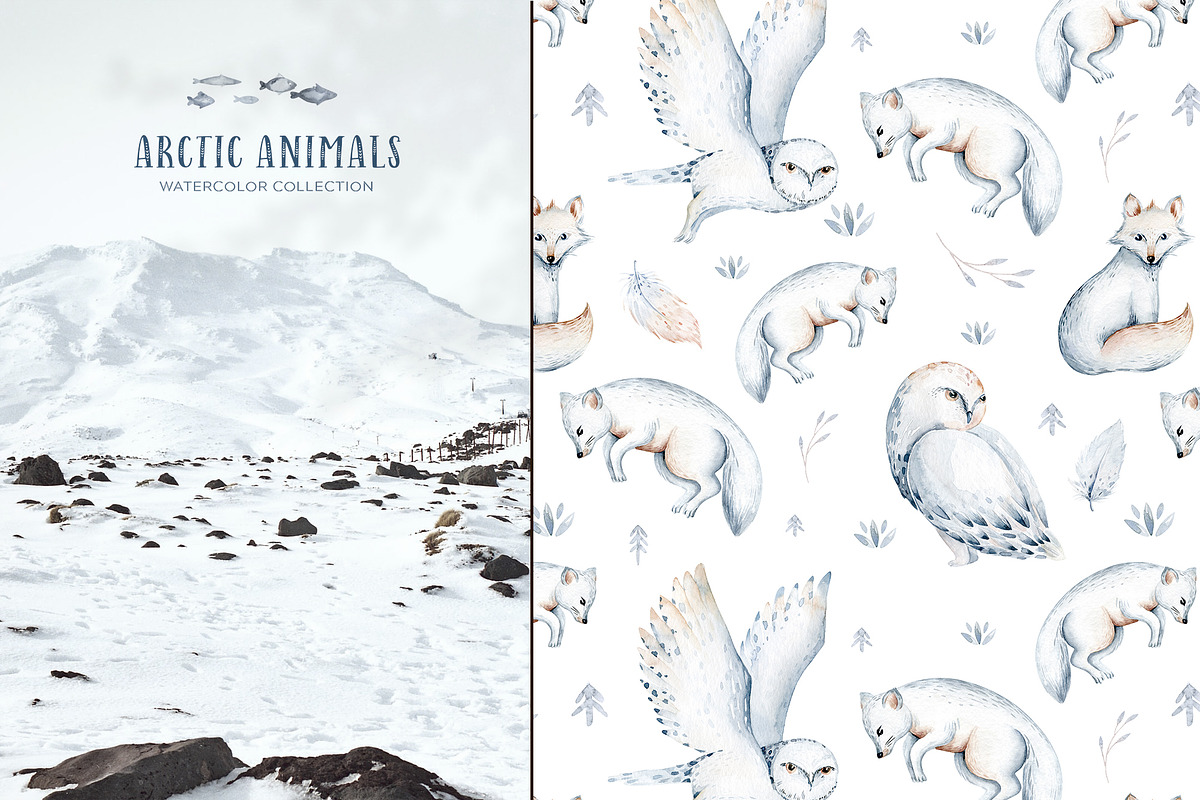 Arctic cute animals.  Watercolor set, an Animal Illustration by Peace ART (Photo 20 of 22)