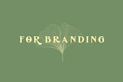 De Ginkgo, a Serif Font by Emyself Design (Thumbnail 4 of 16)