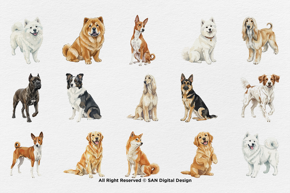 15 Bundle Watercolor Big Dog Fluffy, an Animal Illustration by Morspective (Photo 8 of 8)