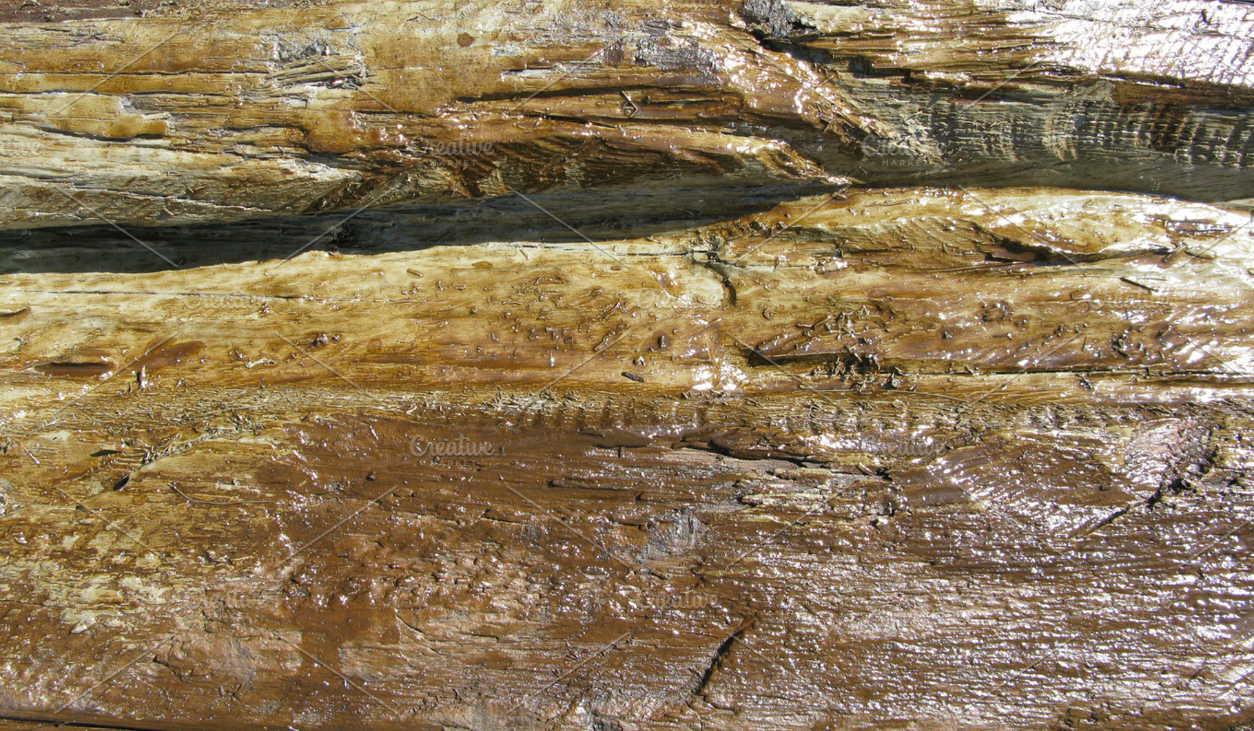 Rough Wood Texture VI