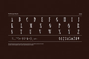 Toughe Unique Serif Font, a Serif Font by Perfectype (Thumbnail 7 of 8)