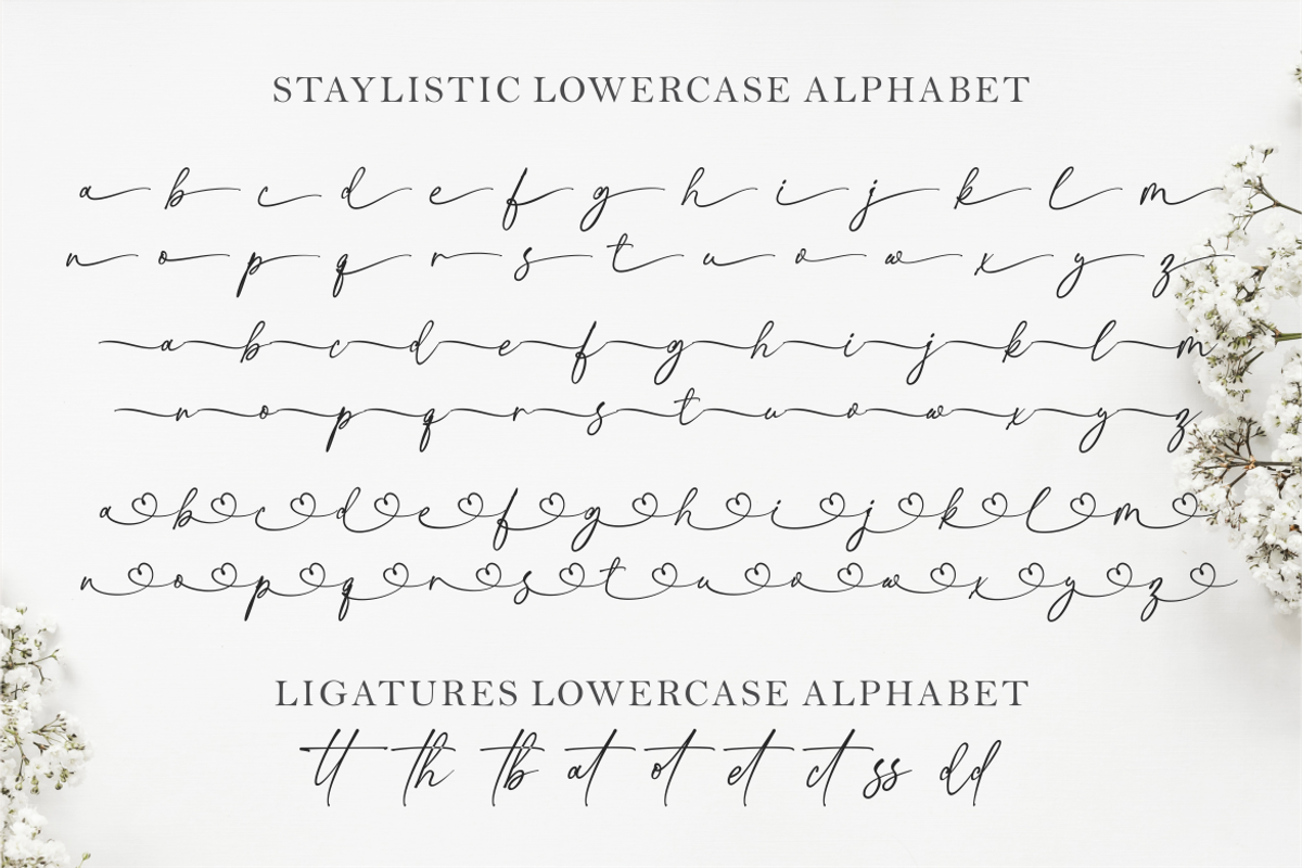 Practice Script, a Script Font by TypeMakers (Photo 8 of 9)