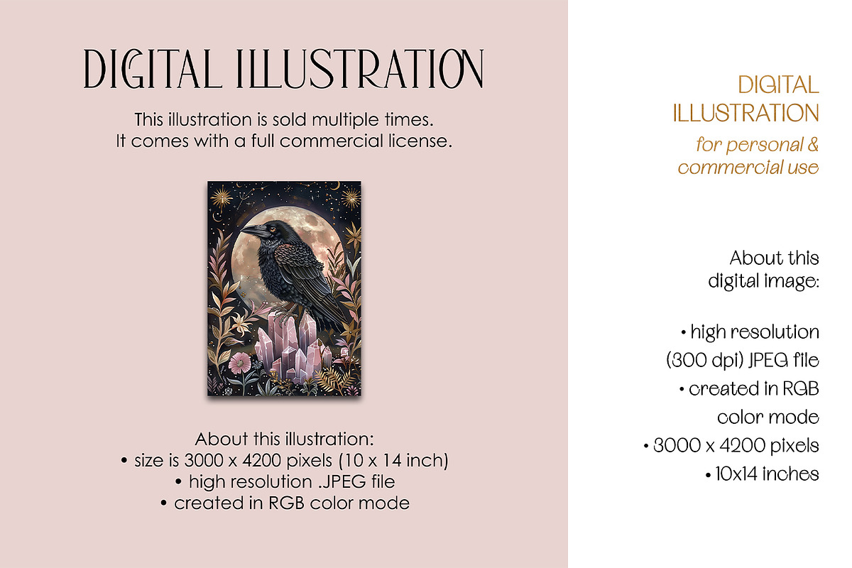 Rose Quartz Raven Illustration, an Animal Illustration by The Dutch Lady Designs (Photo 3 of 4)