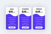 Clean Pricing Tables, a Templates & Theme by Youme Techworld (Thumbnail 4 of 4)