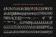 CS Delaney – Modern Font, a Sans Serif Font by Craft Supply Co. (Thumbnail 8 of 8)