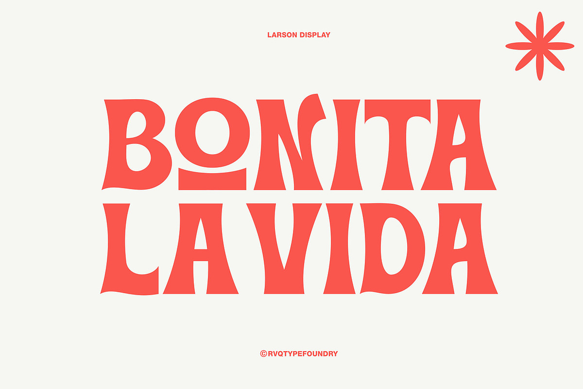 Larson display, a Serif Font by Rvq Type Foundry (Photo 3 of 4)