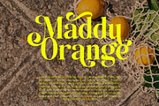 Shakira Beauty Serif, a Serif Font by Violet Natural (Thumbnail 11 of 13)