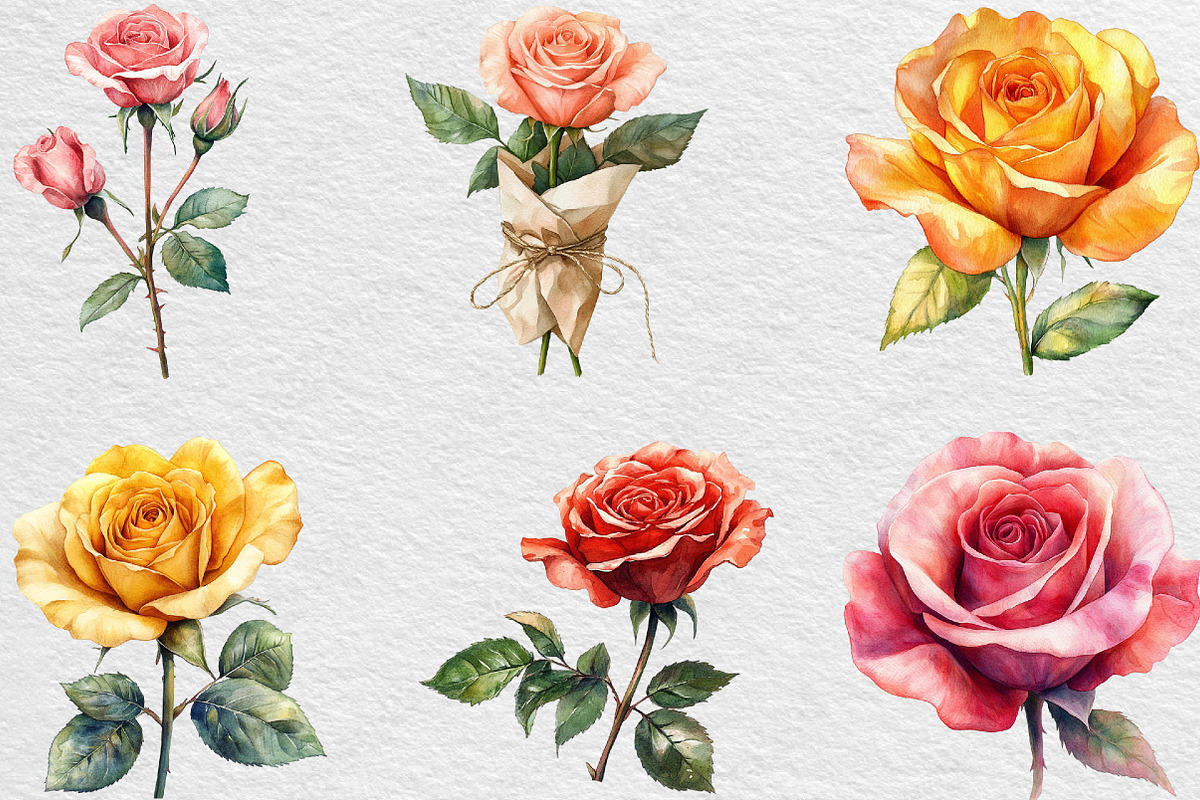 Rose Flower Clipart Bundle, an Illustration by Black Bird Studio (Photo 3 of 6)