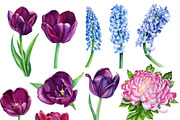 Beautiful bouquet of flowers, a Decorative Illustration by Hanna Hryharenka (Thumbnail 2 of 10)