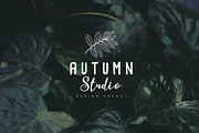 Feminine Branding Premade Logos V01, a Branding & Logo Template by XpertgraphicD (Thumbnail 13 of 13)
