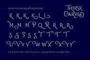 Thirsk Carved, a Serif Font by The Traveling Fox (Thumbnail 6 of 6)