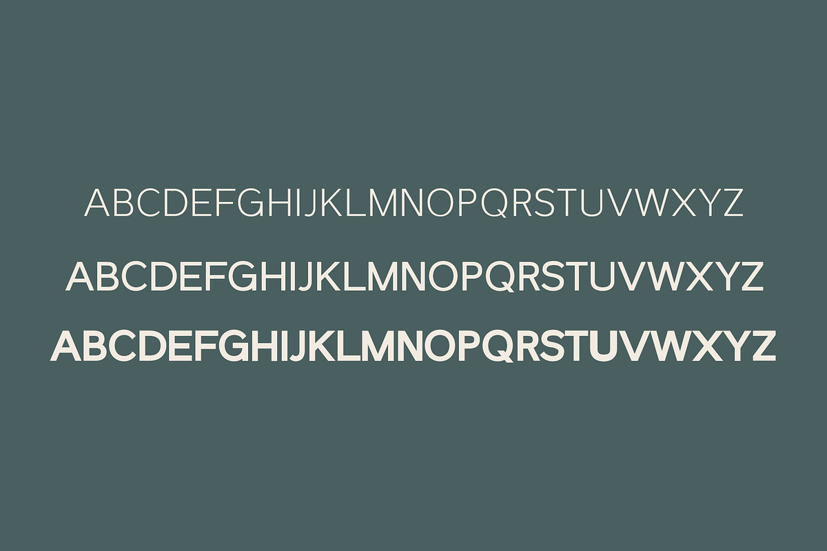 Nisland | A Classy Sans Serif Font, a Sans Serif Font by Emalee Roth (Photo 5 of 6)