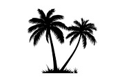 Palm Tree Vector Bundle Pack, an Illustration by Artivon (Thumbnail 13 of 20)