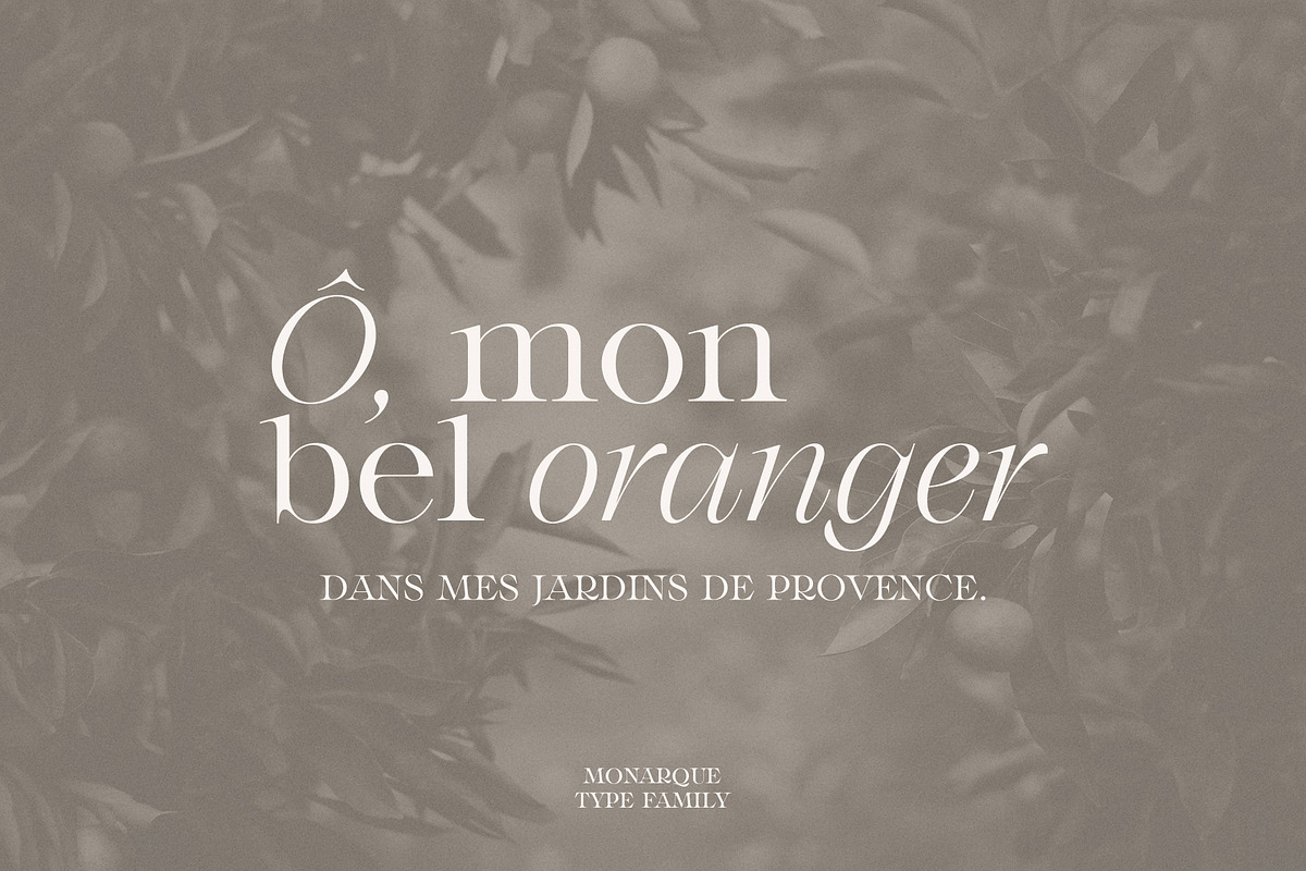 Monarque - Classy Serif Type Family, a Serif Font by The Paper Town (Photo 5 of 15)