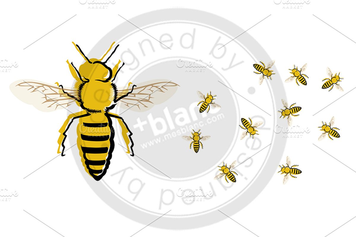 Bee, an Animal Illustration by mesblanc (Photo 1 of 2)