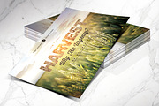 Harvest Urgency Church Flyer PSD, a Flyer Template by Godserv Designs (Thumbnail 3 of 12)