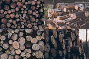 WOOD LOGS (12 Premium Photos), an Industrial Photo by PhotoMarket (Thumbnail 2 of 4)