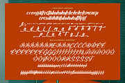 Beautiful Reluxes Modern Elegant, a Handwritten Font by operatype.co (Thumbnail 10 of 10)